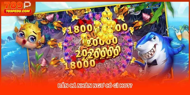 Bắn cá nhân ngư có gì hot?